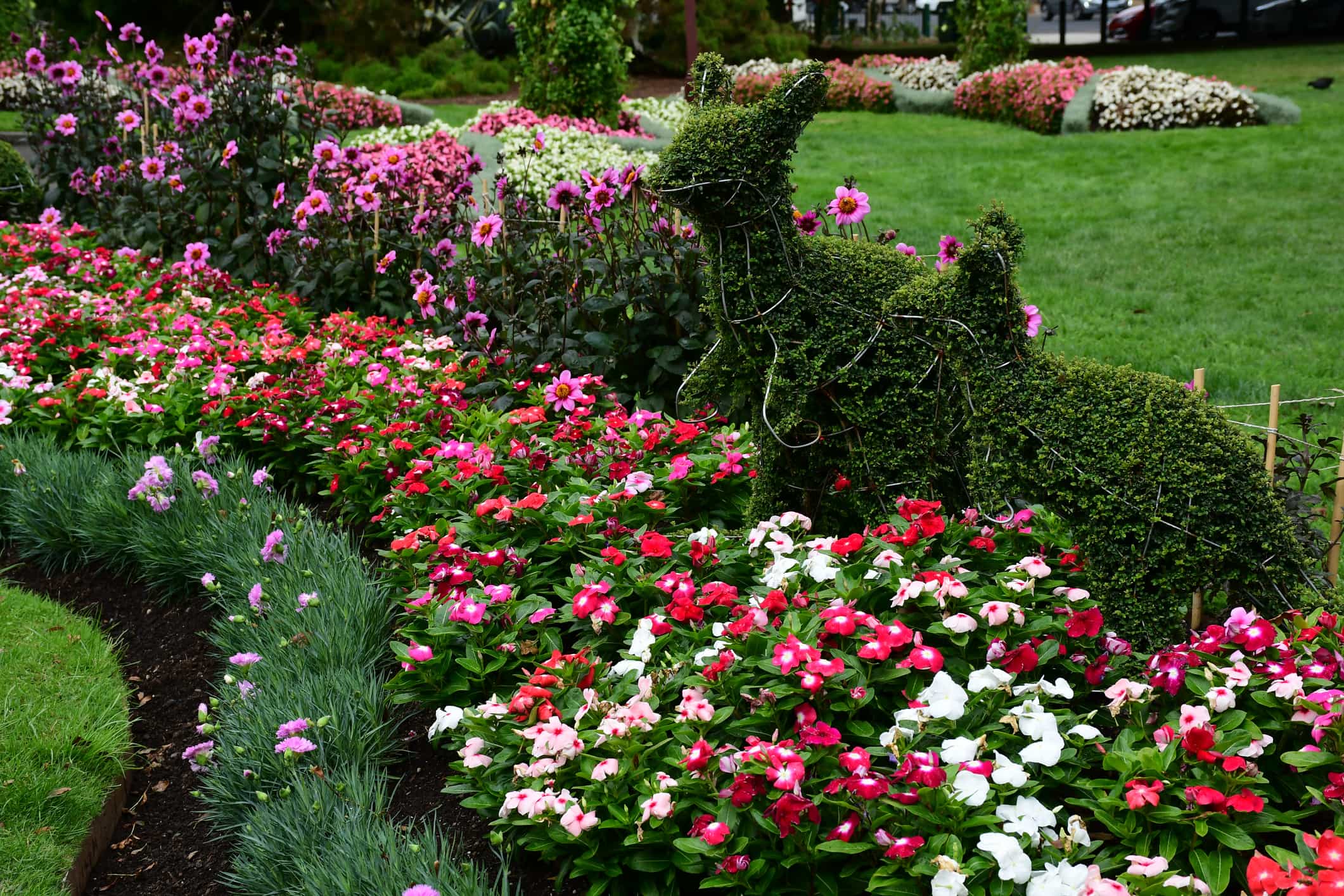 flowers and landscaping