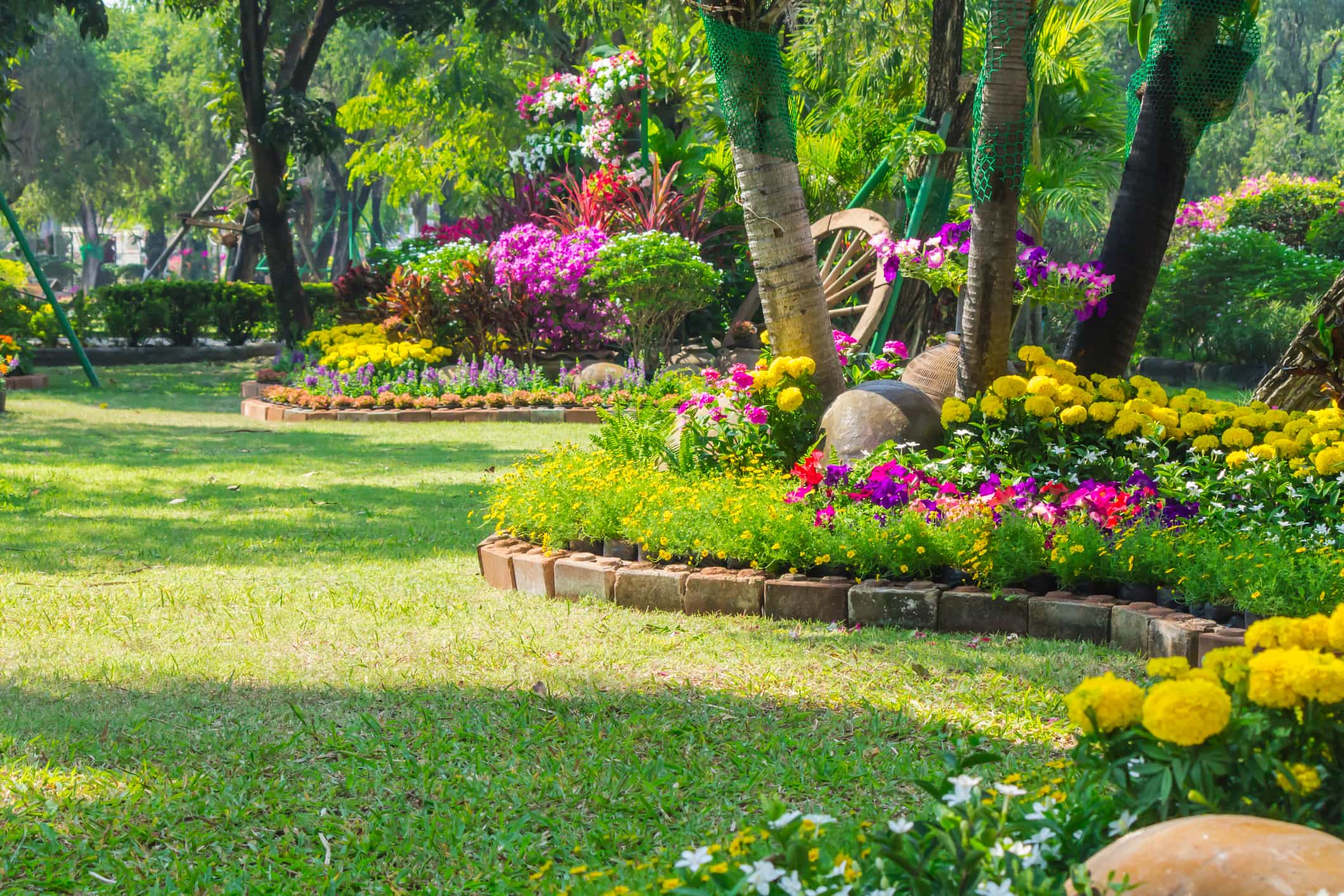 colorful flowers and landscaping